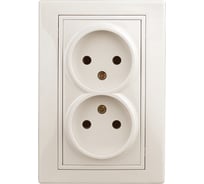 Розетка Intro 2х2P, 16А, 250В, IP20, СУ, Plano, слоновая кость Б0027614