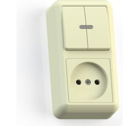 Комбинированный блок Кунцево-Электро ОПТИМА открытой установки,  2 клавиши, выключатель с подсветкой+розетка БКВР-431с/к 8085