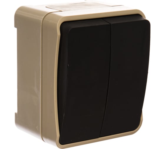 Выключатель Smartbuy 2-клавишный 10А, IP 54 Сатурн SBE-04w-10-SW2-0