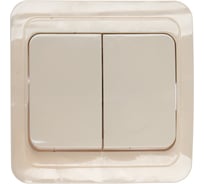 Выключатель Smartbuy 2-клавишный 10А белый Марс SBE-02w-10-SW2-0