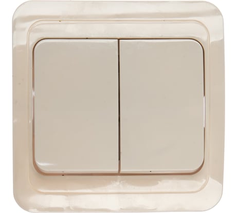 Выключатель Smartbuy 2-клавишный 10А белый Марс SBE-02w-10-SW2-0