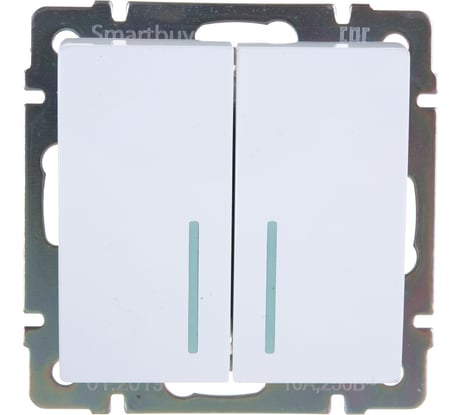 Выключатель Smartbuy 2-клавишный с индикатором 10А белый Нептун SBE-05w-10-SW2-1