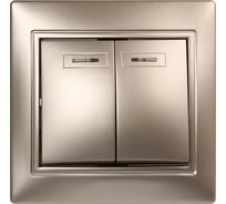 Выключатель Smartbuy 2-клавишный с индикатором 10А шампань, Венера SBE-01c-10-SW2-1-c