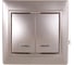 Выключатель Smartbuy 2-клавишный с индикатором 10А шампань, Венера SBE-01c-10-SW2-1-c 4
