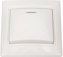 Выключатель Smartbuy 1-клавишный с индикатором 10А белый Венера SBE-01w-10-SW1-1