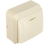 Выключатель Smartbuy 1-клавишный с индикатором 10А белый Юпитер SBE-03w-10-SW1-1