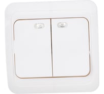 Выключатель Smartbuy 2-клавишный с индикатором 10А белый Марс SBE-02w-10-SW2-1