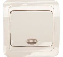 Выключатель Smartbuy 1-клавишный с индикатором 10А белый, керамика Марс SBE-02w-10-SW1-1-c