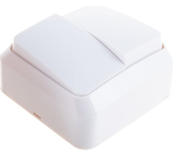 Выключатель Smartbuy 2-клавишный 10А белый Юпитер SBE-03w-10-SW2-0
