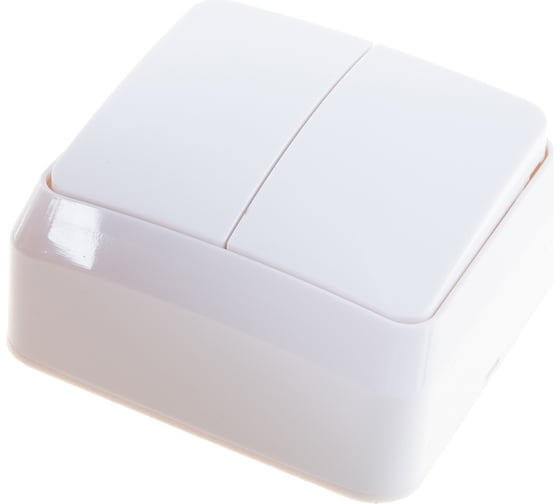 Выключатель Smartbuy 2-клавишный 10А белый Юпитер SBE-03w-10-SW2-0