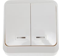Выключатель Smartbuy 2-клавишный с индикатором 10А белый Юпитер SBE-03w-10-SW2-1