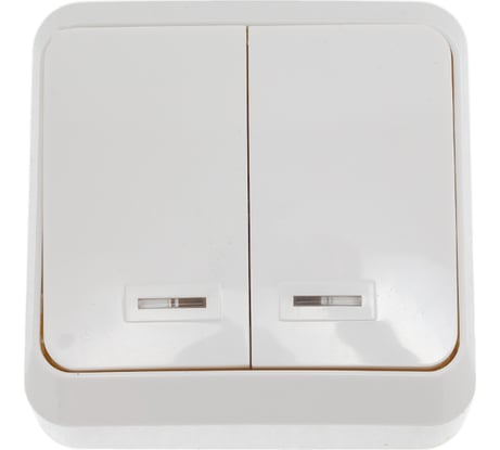 Выключатель Smartbuy 2-клавишный с индикатором 10А белый Юпитер SBE-03w-10-SW2-1