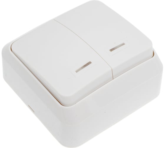 Выключатель Smartbuy 2-клавишный с индикатором 10А белый Юпитер SBE-03w-10-SW2-1