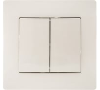 Двухклавишный выключатель GUSI ELECTRIC Bravo СУ, 10А, 250В, бежевый С10В2-003-СБ