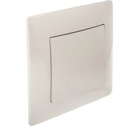 Одноклавишный выключатель GUSI ELECTRIC Bravo СУ, 10А, 250В, бежевый С10В1-003-СБ