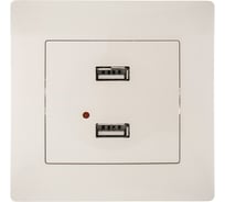 Розетка USB GUSI ELECTRIC Bravo двойная, СУ, бежевый С10USB2-003-СБ