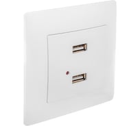 Розетка USB GUSI ELECTRIC Bravo двойная, СУ, белый С10USB2-001-СБ