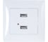 Розетка USB GUSI ELECTRIC Bravo двойная, СУ, белый С10USB2-001-СБ 3