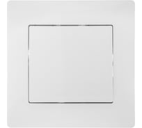 Одноклавишный выключатель GUSI ELECTRIC Bravo СУ, 10А, 250В, белый С10В1-001-СБ