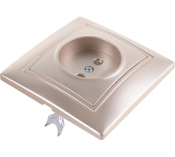 Розетка Smartbuy 1-местная без заземления 10А шампань, Венера SBE-01c-10-S1-N-c