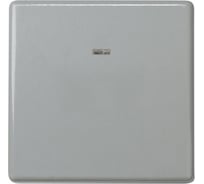 Двухполюсный выключатель с контрольной подсветкой Simon 16А, 250В, S27, серый 27134-67