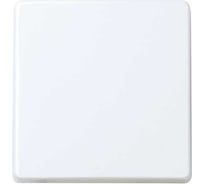 Декоративная сменная клавиша для выключателя Simon широкий модуль, S27 Play, 2720010-060