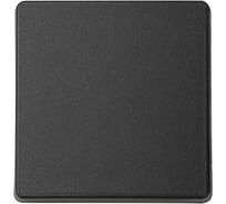 Декоративная сменная клавиша для выключателя Simon широкий модуль, S27 Play, графит 2720010-038