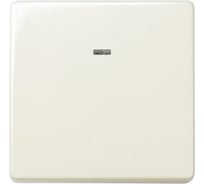 Одноклавишный кнопочный выключатель Simon 10А, 250В, широкий модуль, S27, слоновая кость 27669-62