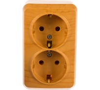 Розетка Smartbuy 2-местная 16А с заземлением светлое дерево Юпитер SBE-03lw-16-S2-Z