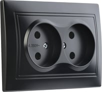 Розетка Smartbuy 2-местная без заземления 10А черная, Венера SBE-01b-10-S2-N-c