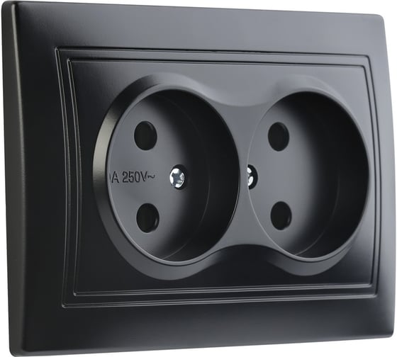 Розетка Smartbuy 2-местная без заземления 10А черная, Венера SBE-01b-10-S2-N-c