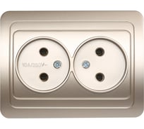 Розетка Smartbuy 2-местная без заземления 10А шампань, Марс SBE-02c-10-S2-N-c