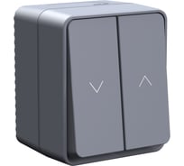 Выключатель 2-клавишный для жалюзи Systeme Electric AtlasDesign Profi IP54, 10 АХ, открытой установки, Антрацит ATN544019