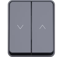 Выключатель 2-клавишный для жалюзи Systeme Electric AtlasDesign Profi IP54, 10 АХ, открытой установки, Антрацит ATN544019
