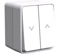 2-клавишный выключатель для жалюзи Systeme Electric Atlasdesign profi ip54 2хсх.4, белый ATN540119