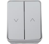 2-клавишный выключатель для жалюзи Systeme Electric Atlasdesign profi ip54 2хсх.4, белый ATN540119