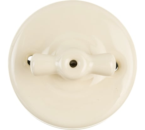 Двухклавишный выключатель Retrika, керамический, ретро цвет слоновая кость R-SW-25