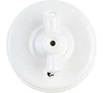 Двухклавишный выключатель Retrika, керамический, ретро цвет белый R-SW-21