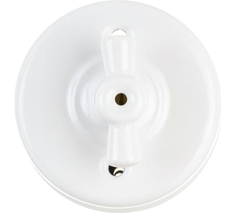 Двухклавишный выключатель Retrika, керамический, ретро цвет белый R-SW-21