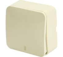 1-клавишный выключатель STEKKER открытой установки с индикатором, 250в, 10а, ip20, серия софия, слоновая кость, msw10-11-20-04, 49472