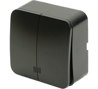 2-клавишный выключатель STEKKER открытой установки с индикатором, 250в, 10а, ip20, серия софия, черный матовый, msw10-21-05 49477