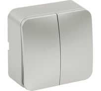 2-клавишный выключатель STEKKER открытой установки, 250в, 10а, ip20, серия софия, серебро, msw10-20-03, 49297