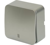 1-клавишный выключатель STEKKER открытой установки с индикатором, 250в, 10а, ip20, серия софия, серебро, msw10-11-20-03, 49296