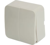 2-клавишный выключатель STEKKER открытой установки, 250в, 10а, ip20, серия софия, белый, msw10-20-01, 49289