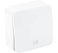 1-клавишный выключатель STEKKER открытой установки с индикатором, 250в, 10а, ip20, серия софия, белый, msw10-11-20-01, 49288