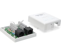 Настенная розетка TWT 2 порта RJ-45, категория 6, белая, SM2-4545/6-WH