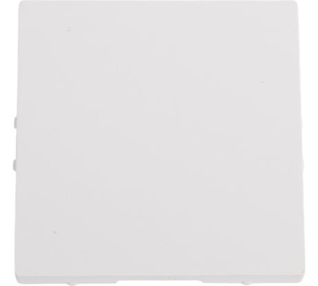 Заглушка без суппорта для многопостовых рамок Systeme Electric Atlasdesign лотос ATN001309