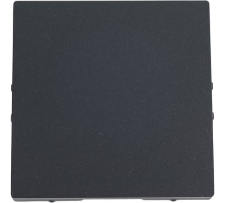 Заглушка без суппорта для многопостовых рамок Systeme Electric Atlasdesign базальт ATN001409