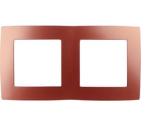 Рамка ЭРА 12500224 на 2 поста, охра Б0019398