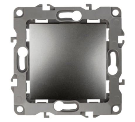 Выключатель ЭРА 12100112 10АХ250В, IP20, без м.лапок, графит Б0019272